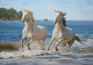 Белые лошади 205