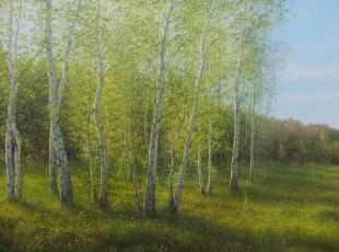 Берёзки весной 301
