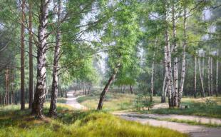 Берёзовая роща 205