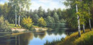 Березы у реки 45