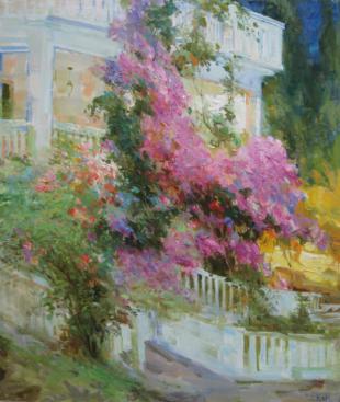 Бугенвиллия 104