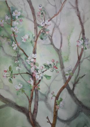 Цветущая яблоня 47