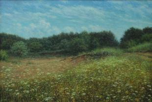 цветущий луг 301