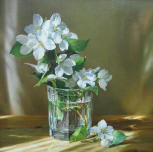 Цветы яблони Шагидуллин Р.С.