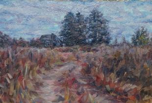 Дорога к дому 298