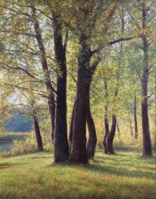 Дубки на берегу 301