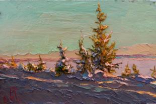 Хороший день 262