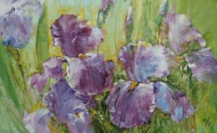 Ирисы 206
