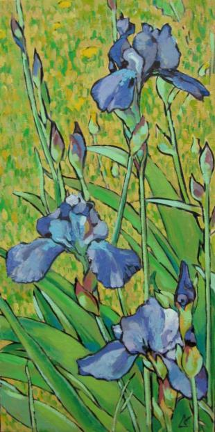 Ирисы 109