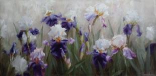 Ирисы 278