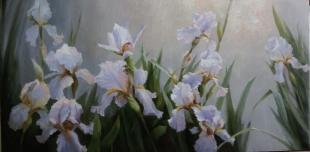Ирисы 278
