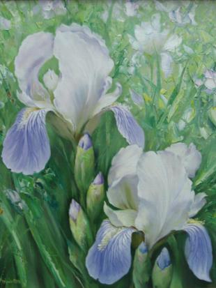 Ирисы. Нежность 68