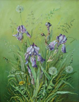 Ирисы в одуванчиках 234