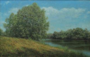 ивы на берегу 301