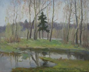 Изумрудная весна Родионов В.А.