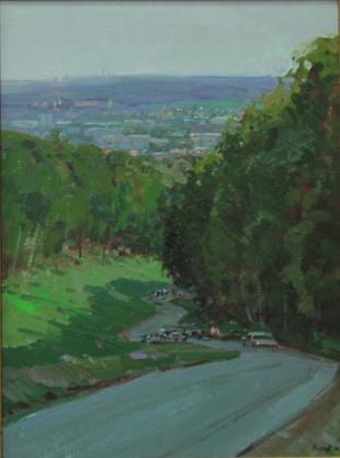 извилистая дорога 293