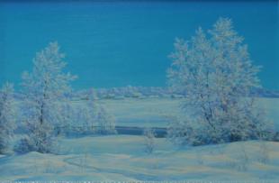 краски зимы 299