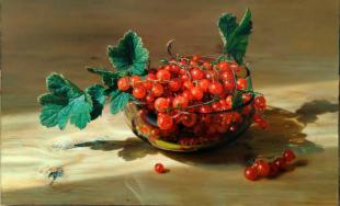 Красная смородина  Шагидуллин Р.С.