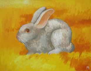 Кролик в поле 142