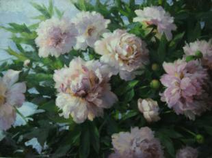 Куст пиона Николаев Ю.В.