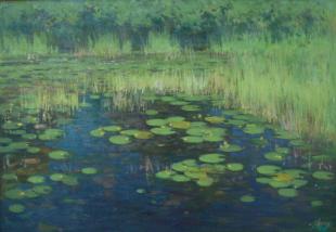 Кувшинки 232