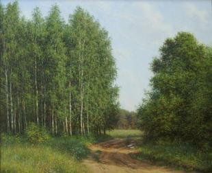 Лесная дорога 301