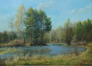 лесное озеро 200