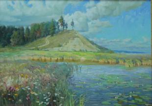 летний день на холме 311