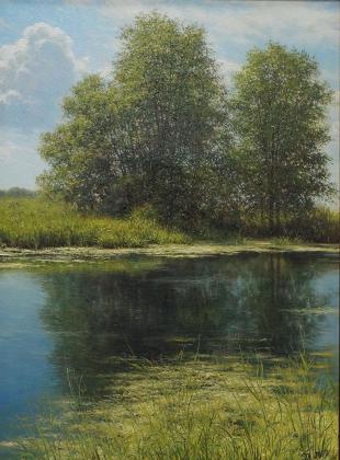 Летний пейзаж с озером 301