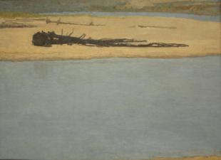 Лежащие деревья 281