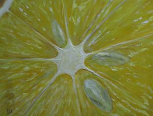 Лунный плен 253