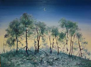 Лунный свет 23