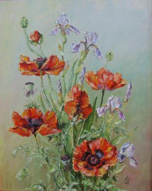 Маки и ирисы 234