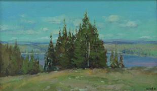 михайловский пруд 293