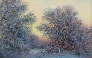 Морозное утро 212