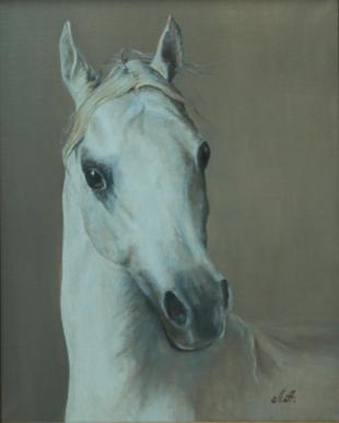 моя любимая 300