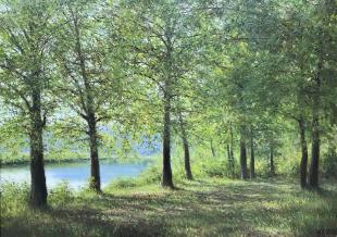 На берегу озера Бока 301