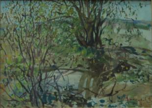 на пути в Теньки 274