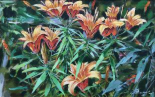 Оранжевые лилии 5