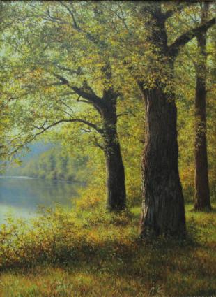 Осень. Дубки на берегу озера 301