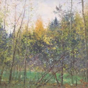 Осень в лесу 232