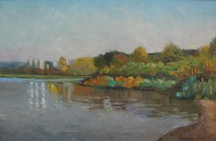 Отражение 204