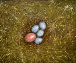 Подкидыш 253