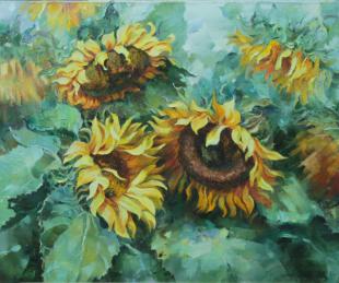 подсолнухи 47