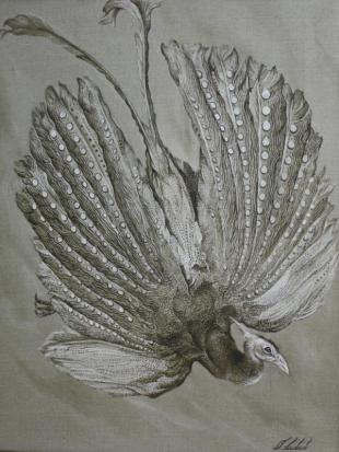 Полёт Аргуса 196