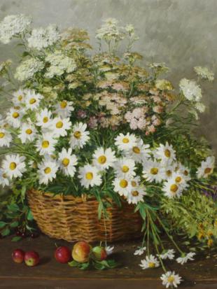 Полевые цветы 133