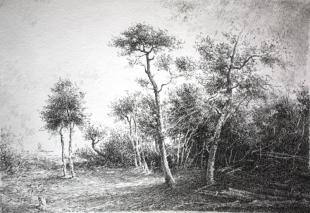 После ветра 143