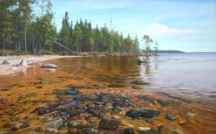 Прозрачные воды Карелии Чернышов М.В.
