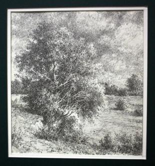 Пушистое дерево 143