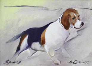 Редкий песик 23